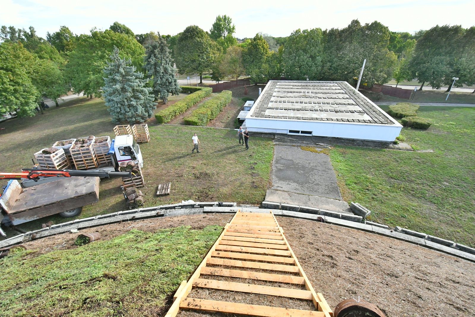 Így ültetik a varjúháj szőnyeget a Béla úti temető ravatalozója fölött